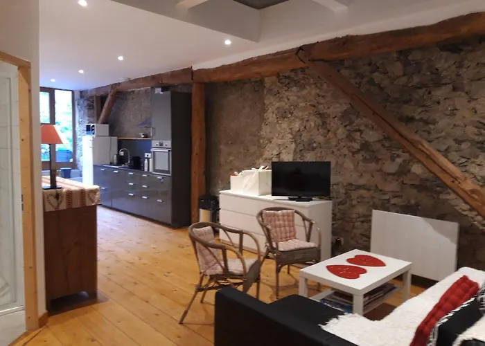 Domaine De La Safraniere - Holiday Home