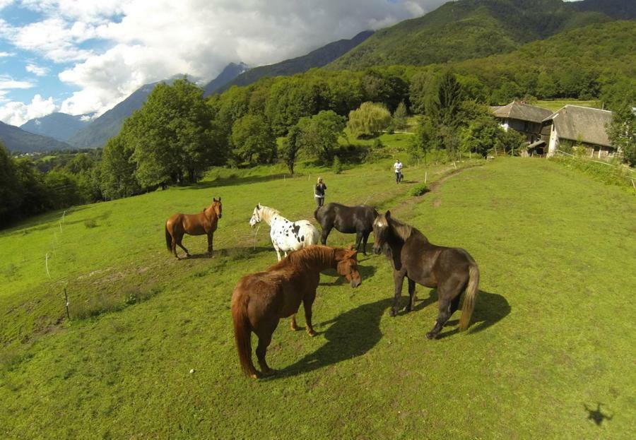 Country house Domaine De La Safraniere - Saint-Leger (Savoie)