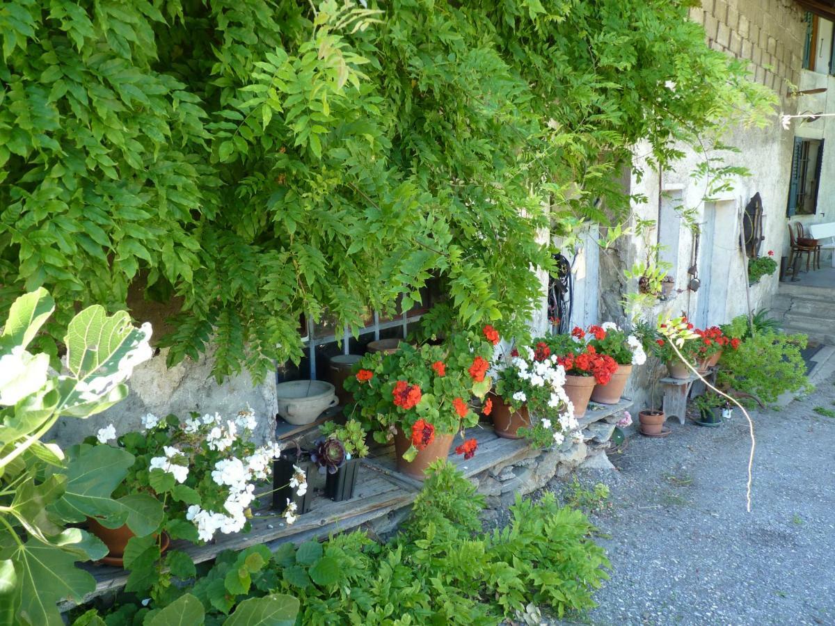 Domaine De La Safraniere -