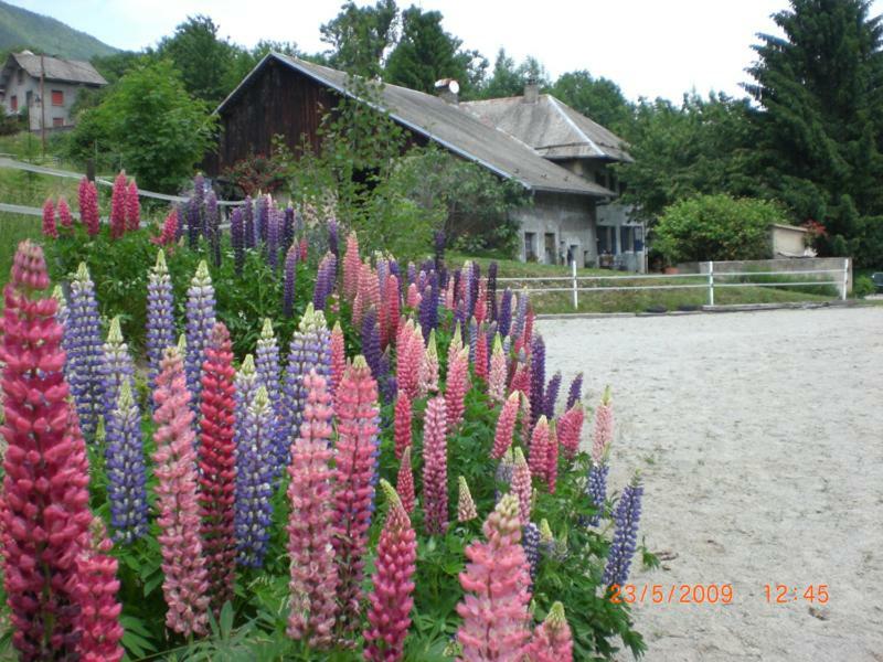 Domaine De La Safraniere - Country house Saint-Leger (Savoie)