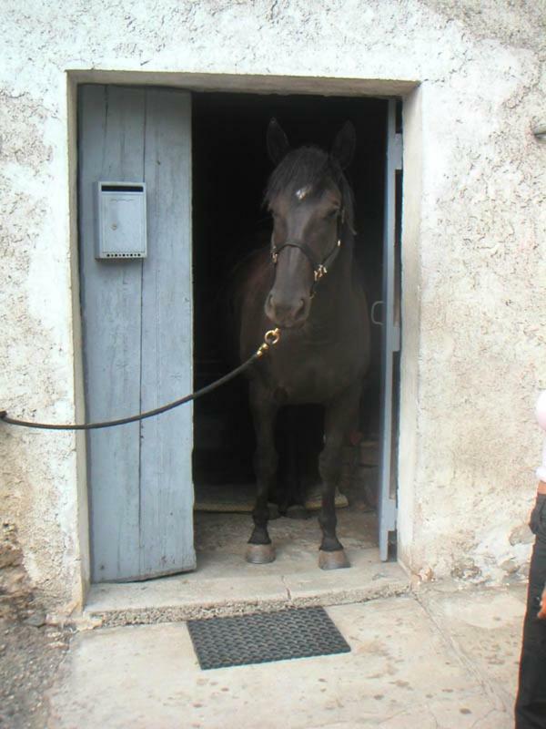 Country house Domaine De La Safraniere - *