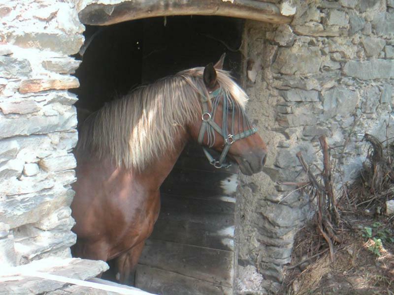 Country house Domaine De La Safraniere - *